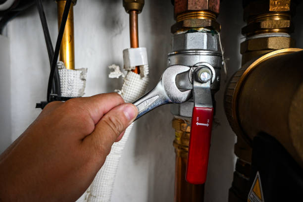 Best Plumbing Inspection Services  in Cohasset, MN